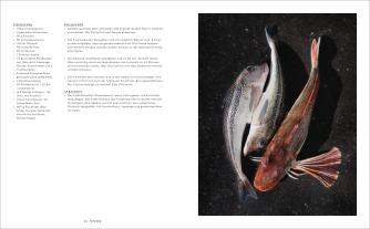 Johannes King: King kocht 