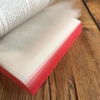 Sylke Hachmeister, Stephenie Meyer: Biss zum Ende der Nacht (Bella und Edward 4) 