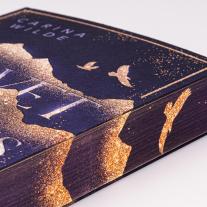 Carina Wilde: Risk With Me (Velvet Mountains 1) 