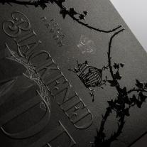 Larissa Bendl, Isla Davon: Blackened Blade (Blackened Blade 1) 