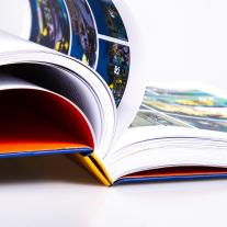 Tome, Janry: Spirou und Fantasio Gesamtausgabe 13: 1981-1983 