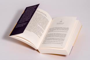 Elfriede Peschel, Jennifer Finney Boylan, Jodi Picoult: Wildhonig 