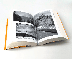 Sebastian Vogel, Jared Diamond: Kollaps 
