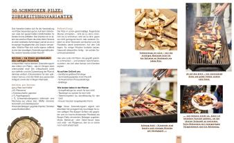 Stefan Marxer: Pilzvergnügt 