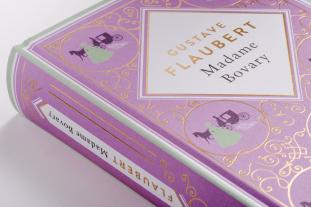 Gustave Flaubert: Gustave Flaubert, Madame Bovary 