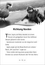 Katrina Charman, Jeremy Norton, Loewe Erstes Selberlesen: Der letzte Feuerfalke und die Kristallhöhlen (Band 2) 