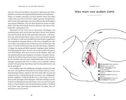 Jüne Plã: Kommt gut 
