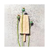 Ralf Sander, Stiftung Warentest: Eis! Gelato! Sorbet! Alles selbst gemacht! 