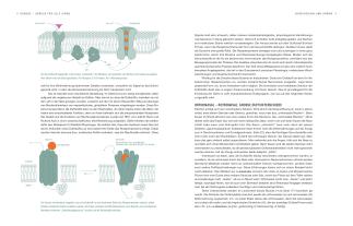 Thomas Vierich, Thomas Vilgis: Aroma Gemüse 