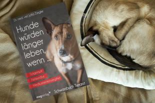 Jutta Ziegler: Hunde würden länger leben, wenn ... 