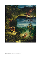 Michael Schindhelm: Walter Spies 