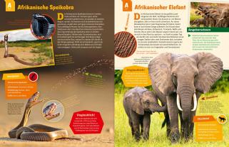Andrea Weller-Essers: WAS IST WAS Geniale Tiere ... und ihre Tricks 