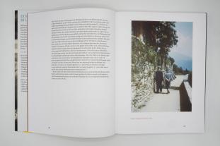 Andreas Solbach: Hermann Hesse 