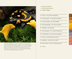 Christine Schneider, Gerhard Schuster: 10 Pilze 