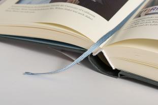 Kamala Harris: Der Wahrheit verpflichtet 