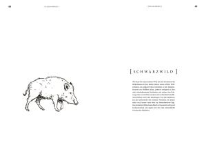 Harald Rüssel, DK Verlag, Anna Schneider: Wild 