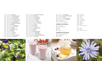 Reinhard Ferstl, Julia Behrens, Susan Curtis, Louise Green, Penelope Ody, Dragana Vilinac, DK Verlag: Das neue Praxisbuch Heilpflanzen 