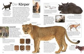 Susanne Schmidt-Wussow, DK Verlag - Kids, Juliet Clutton-Brock: memo Wissen. Katzen 
