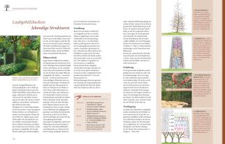 Hansjörg Haas: Das große GU Praxishandbuch Pflanzenschnitt 