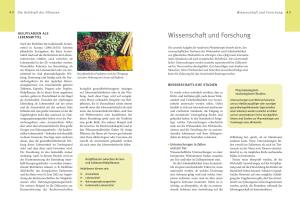 Dr. Jörg Dr. Grünwald, Jörg Grünwald, Christof Jänicke: Grüne Apotheke 