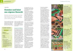 Renate Hudak: Obst & Gemüse selbst anbauen 