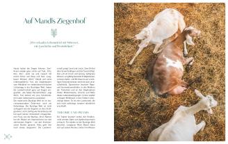 Hotel Sacher: Das Original Sacher Kochbuch 