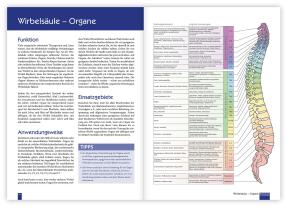 Christina Baumann, Roswitha Stark: Praxisbuch Neue Homöopathie 