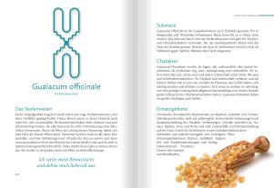 Christina Baumann, Roswitha Stark: Homöopathische Symbolapotheke. 70 wichtige "Kleine Mittel" 