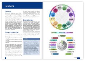 Christina Baumann, Roswitha Stark: Praxisbuch Neue Homöopathie. Band 2 
