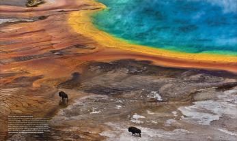 Susan Tyler Hitchcock: NATIONAL GEOGRAPHIC 