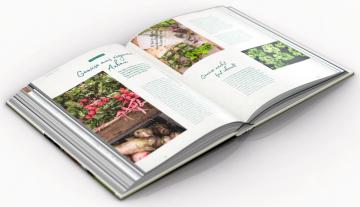 Sylwia Gervais: My Little Green Kitchen 