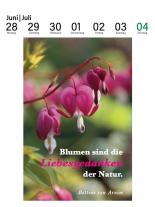 Julia Bachstein, Marion Nickig: Der literarische Gartenkalender 2027 