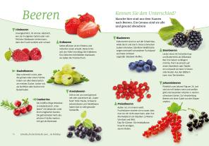 Wort & Bild Verlag, Wort & Bild Verlag: Senioren Ratgeber: Schnelle, frische Küche für zwei 