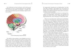 Gerlinde Debus, Meike Dr. med.  Scheuplein, Meike Dr. med. Scheuplein, Gerlinde Prof. Dr. med.  Debus, Gerlinde Prof. Dr. med. Debus, Meike Scheuplein: NeuroIntegrative Medizin: Durch körpereigene Intelligenz die Selbstheilungskräfte aktivieren 