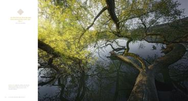 Frank Dr. Weinreich, Andreas Gerth, Frank Weinreich: Auenland und Düsterwald 