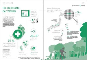 Esther Gonstalla: Das Waldbuch 