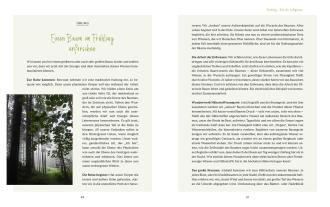 Sam Hess: Die Welt der Naturgeister - Das Arbeitsbuch 