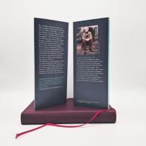 Martin Mosebach: Die Richtige 