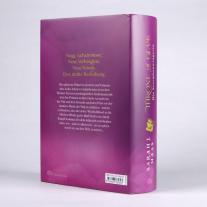 Michaela Link, Sarah J. Maas: Throne of Glass - Die Sturmbezwingerin 