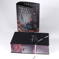 Michaela Link, Sarah J. Maas: Throne of Glass - Herrscherin über Asche und Zorn 