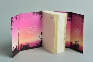 Babette Schröder, Josie Silver: Zwei in einem Herzen 