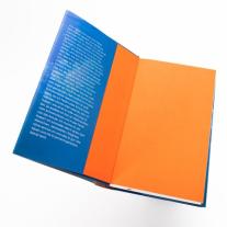 Petra Pellini: Der Bademeister ohne Himmel 