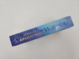 Vanessa Lamatsch, Jennifer L. Armentrout, J. Lynn: Wait for You 