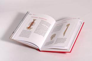 Benita Cantieni: Powertraining mit Tigerfeeling 