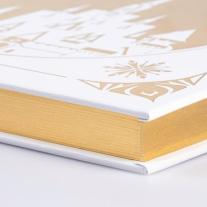 Walt Disney, Constanze Steindamm: Disney: Das große goldene Buch der Eiskönigin-Geschichten 