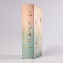 Ayla Dade: A Vow of Light and War (Element Academy 1) 