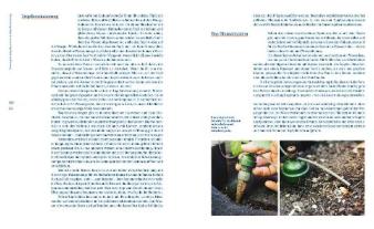 Sascha Singh: Einfach mehr ernten 