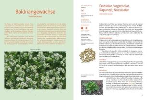 Pro Specie Rara, Verein ARCHE NOAH, Andrea Heistinger: Handbuch Samengärtnerei 