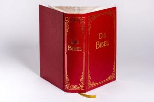 Julius Schnorr von Carolsfeld, Martin Luther: Die Bibel (Geschenkausgabe, Cabra-Leder) 
