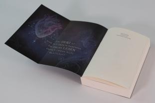 Nina Scheweling: Academy of Lies (Band 1) - Anatomie einer Verschwörung 